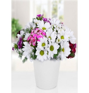 (Mgl-4007) Vazoda Papatya ve Kır Çiçekleri