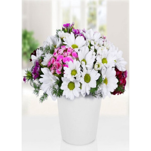 (Mgl-4007) Vazoda Papatya ve Kır Çiçekleri